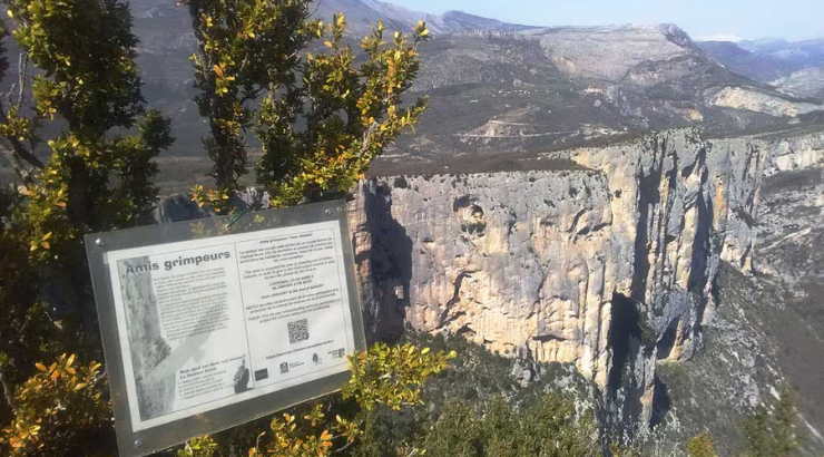 Voies d'escalade sensibles et nidification des Vautours du Verdon en 2025